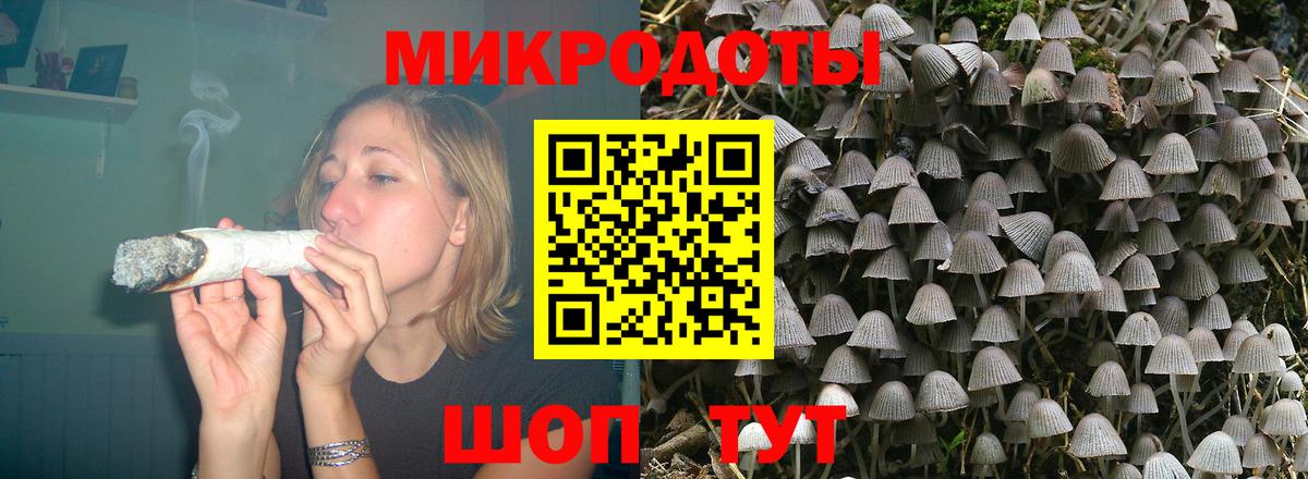 Псилоцибиновые грибы GOLDEN TEACHER Балашиха